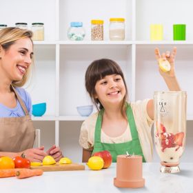 2-in-1 16.9OZ Portable Fruit Blender Electric Rechargeable Juice Cup for Shakes Smoothies Juice Personal Fruit Mixer with 6 Blades (Option: Pink)